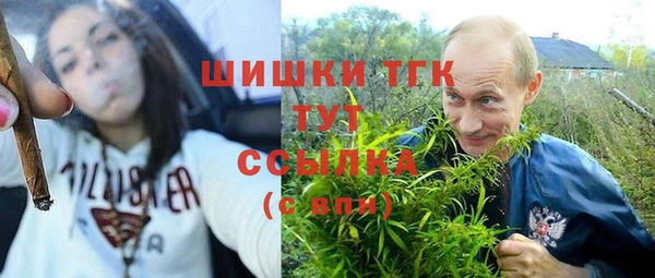 гидра Наволоки