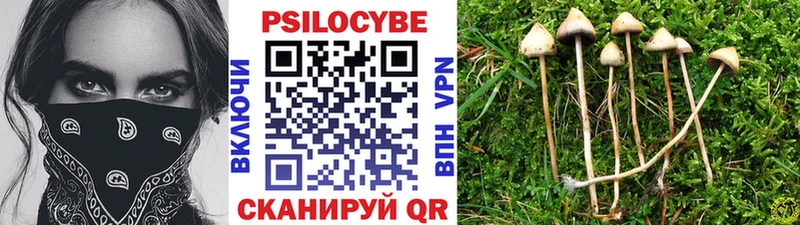 наркошоп Собинка Псилоцибиновые грибы Magic Shrooms